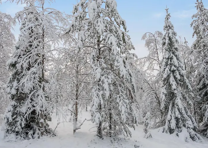 Rukan Rauha By Interhome Ruka